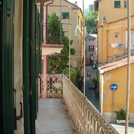 Bouganville * Levanto