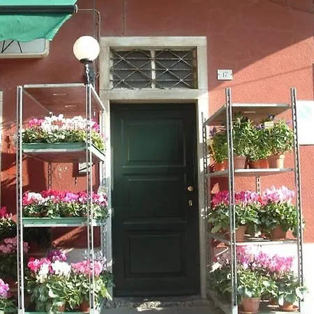 Bouganville * Levanto